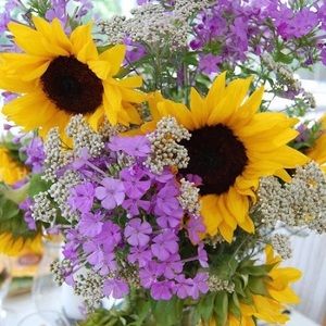 Meet your Posher, Ava